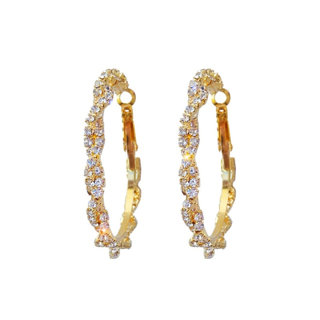 Women's Fashion Luxury Earrings