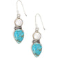 Women's  Water Imitation Pearl Drop Earrings